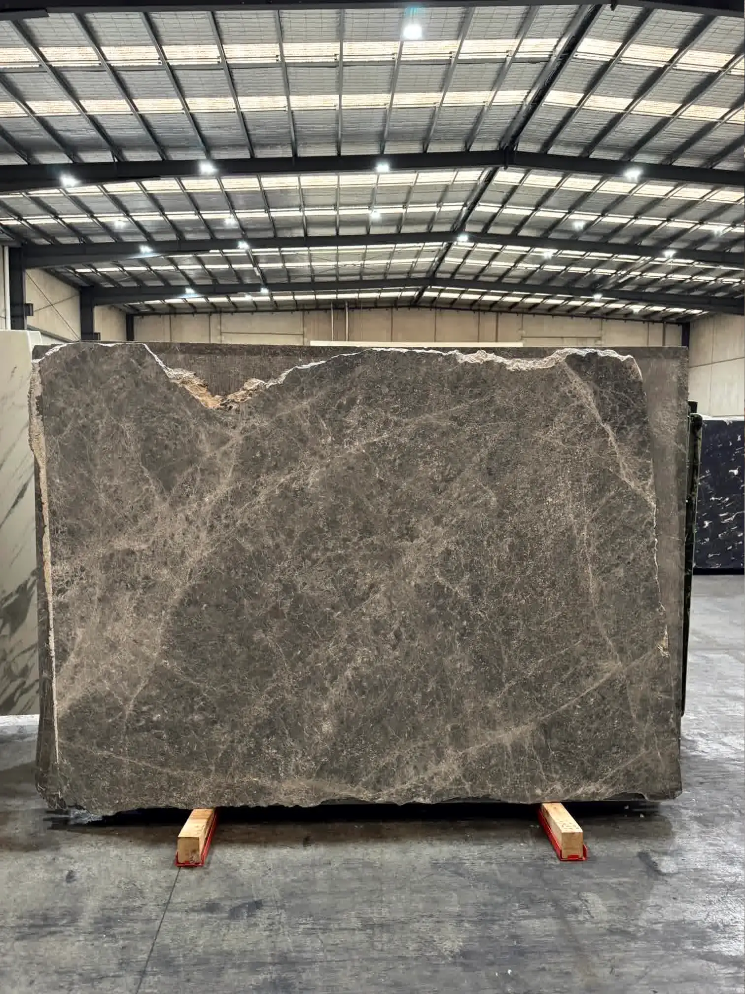 Tundra Black